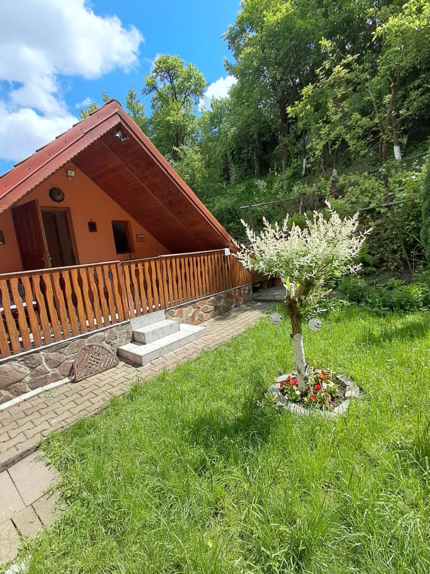 Apartmán Casa Adimi Sighişoara Exteriér fotografie